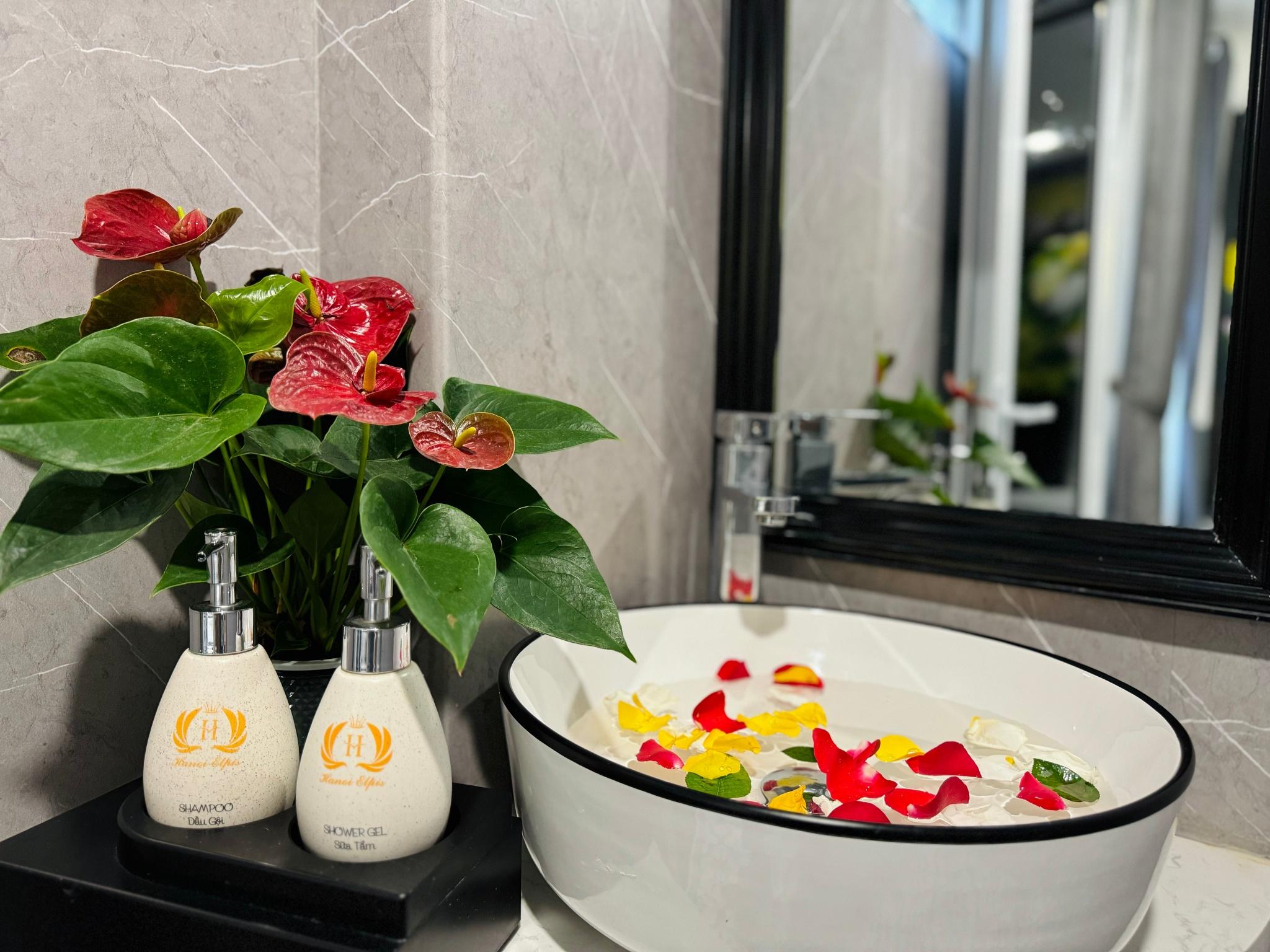 ハノイ エルピス ホテル&スパ 写真