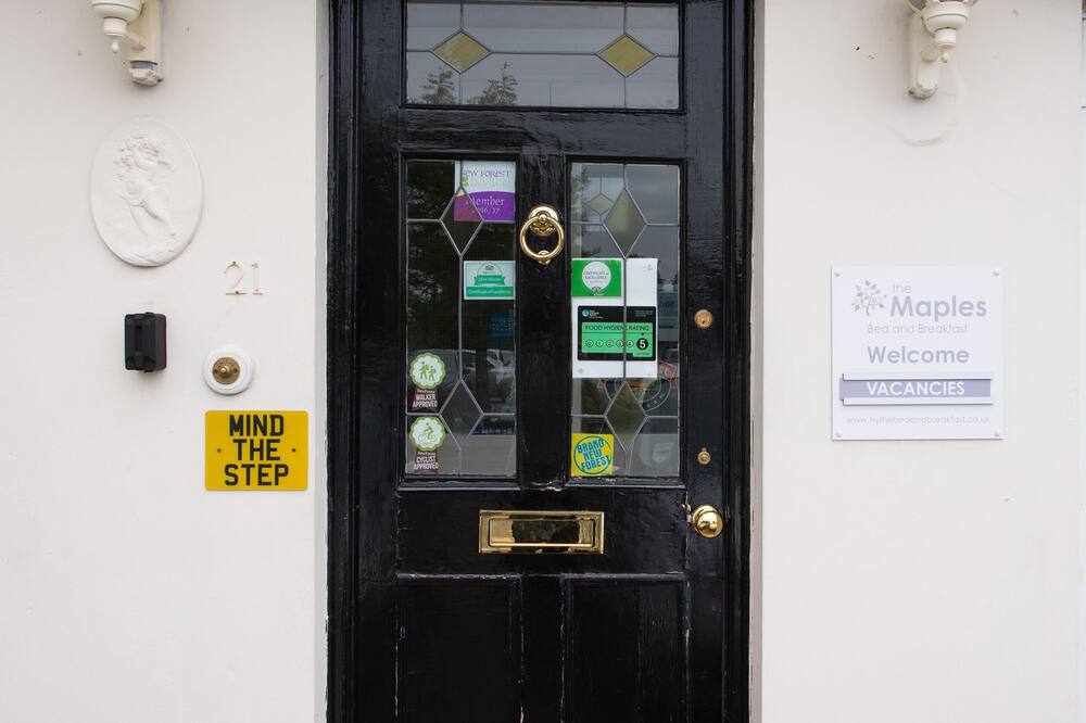 ザ メープルズ 写真