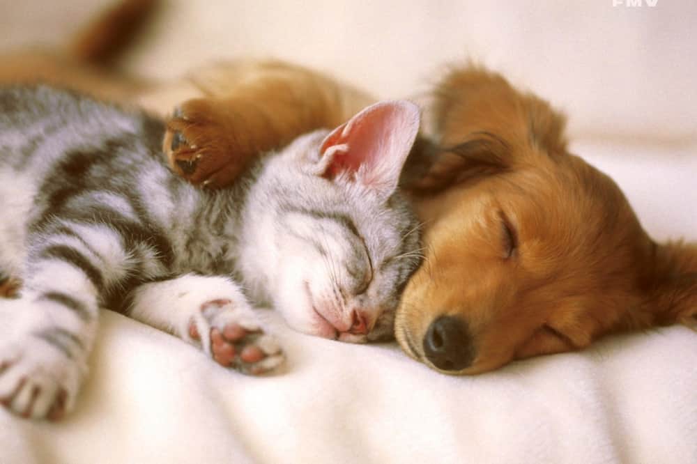 ホームウッド スイーツ バイ ヒルトン ジャクソン 写真