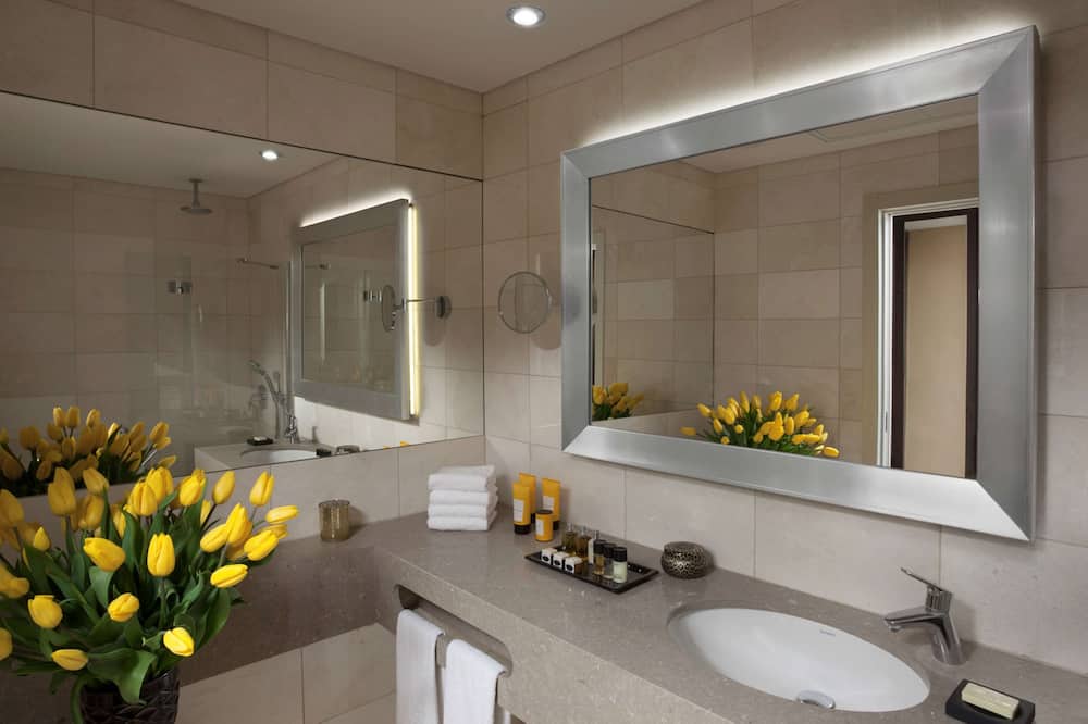 ダン パノラマ エルサレム 写真