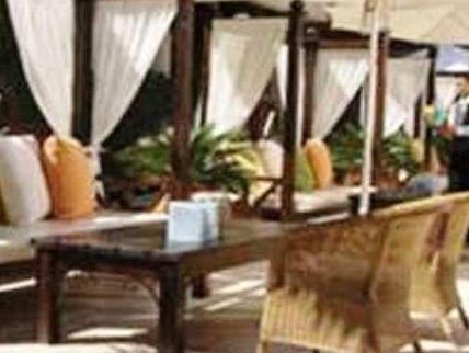 The King Jason 写真