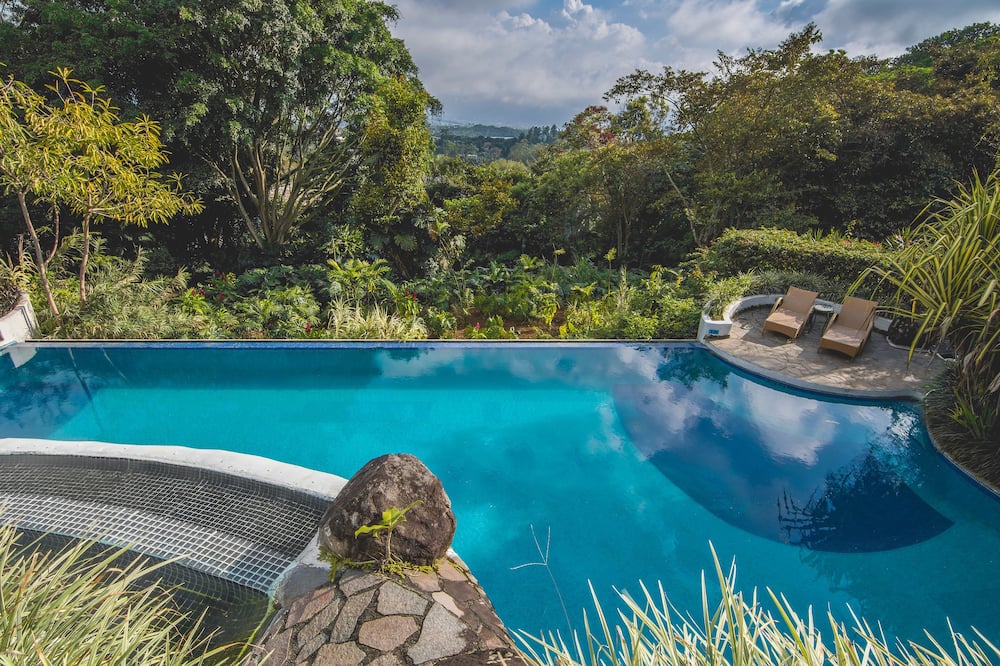 Finca-Rosa-Blanca 写真