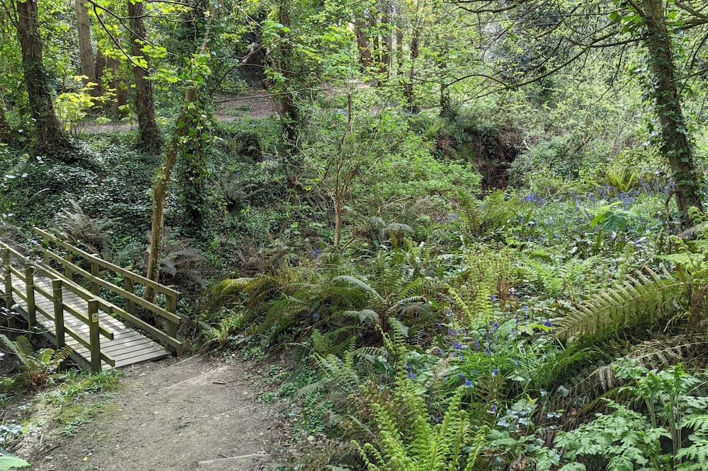 サマーフィールズ ハウス 写真