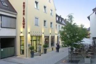 Hotel Roter Löwe 写真