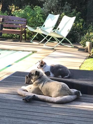 Hedge House Guest House 写真