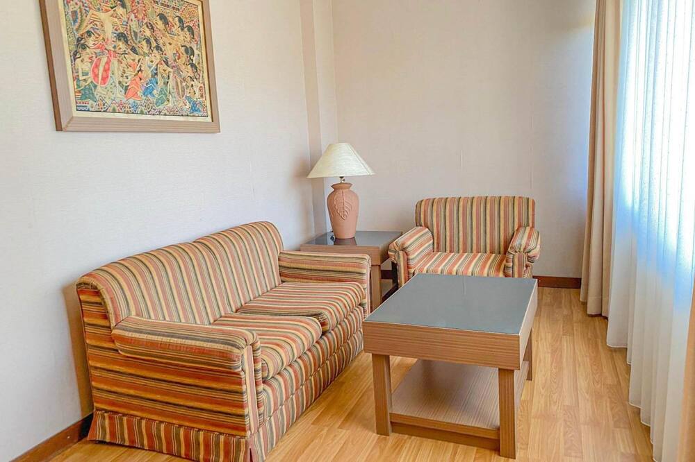 リヤディ パレス ホテル 写真