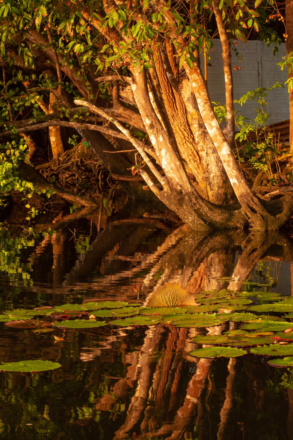 Pousada Orla Náutica 写真