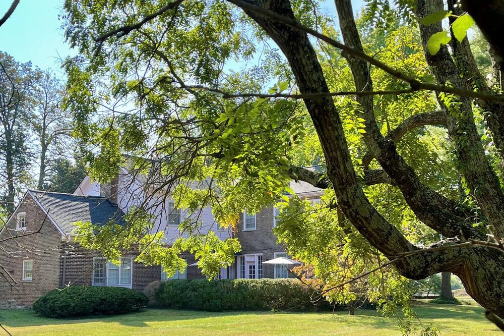 チャード オークス イン 写真