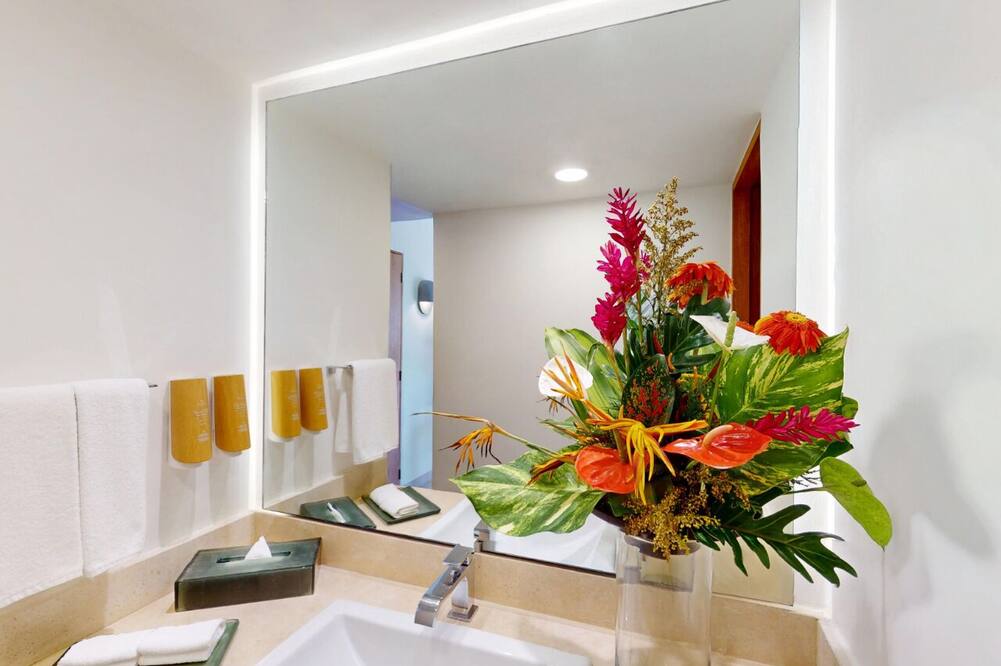 Park Royal Acapulco-All Inclusive 写真