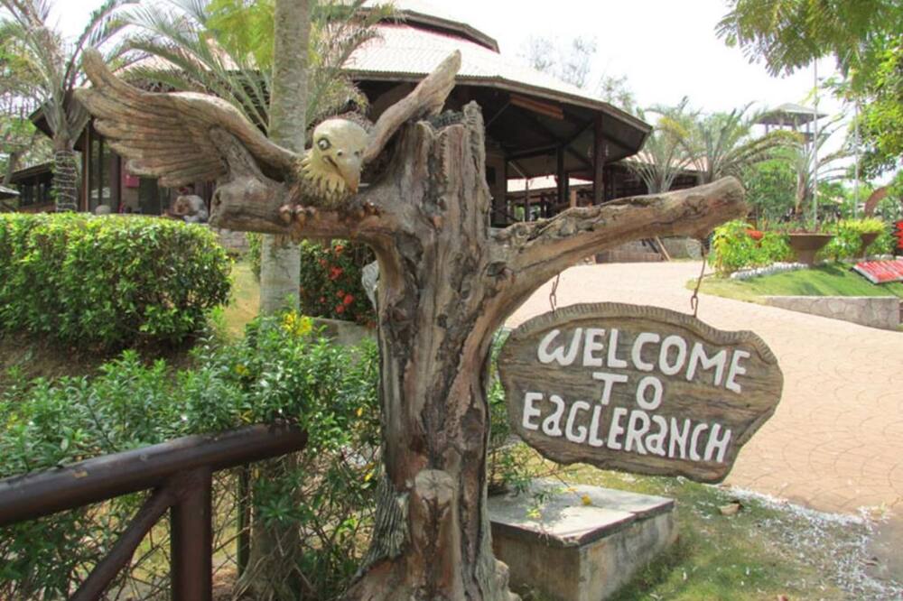 イーグル ランチ リゾート 写真