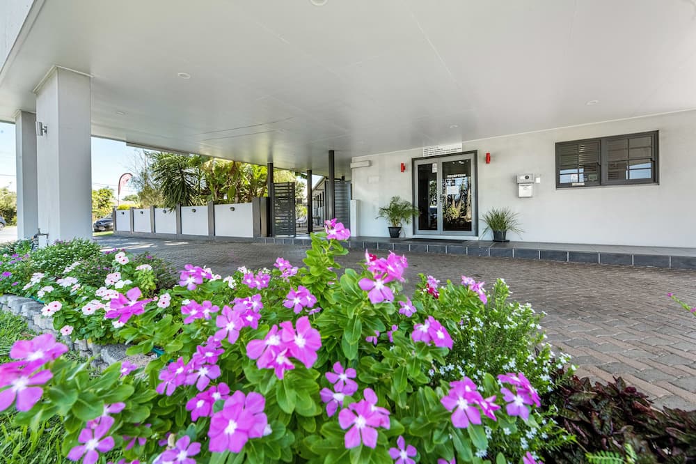 アララ モーター イン 写真