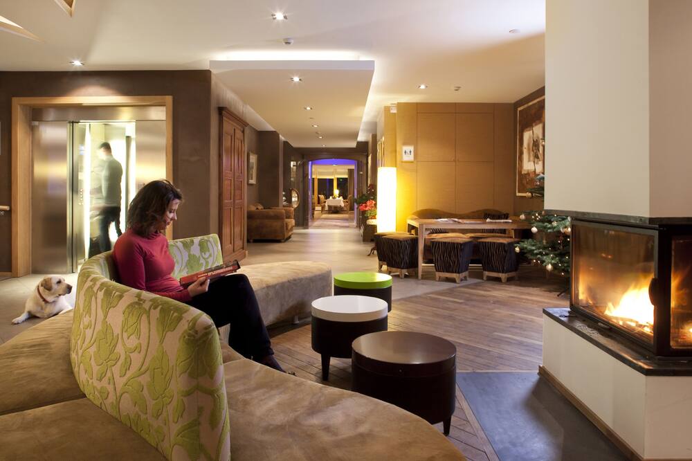 Hotel Au Lion d'Or 写真