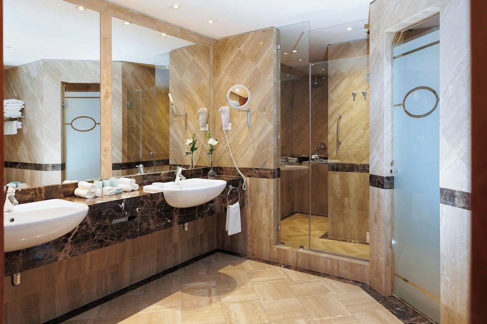 Le Méridien Santiago 写真