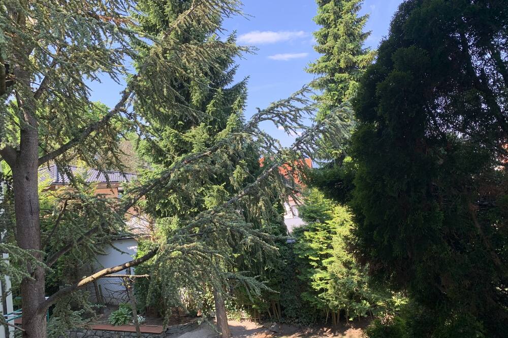 Dietrichsteinerhof Apartments & Rooms 写真