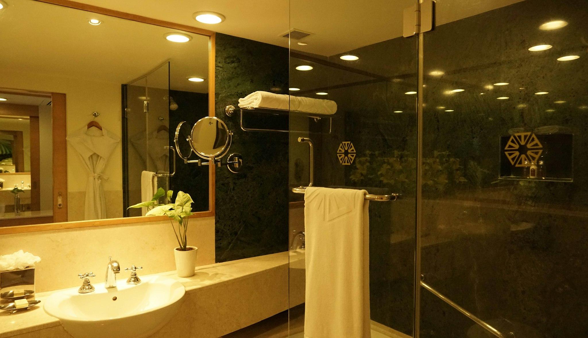 タジ チャンディーガル 写真