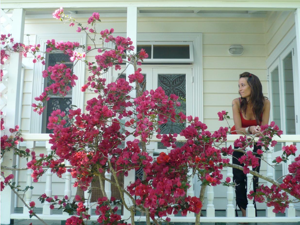 ザ グレート ポンソンビー アート ホテル ベッド アンド ブレックファースト 写真