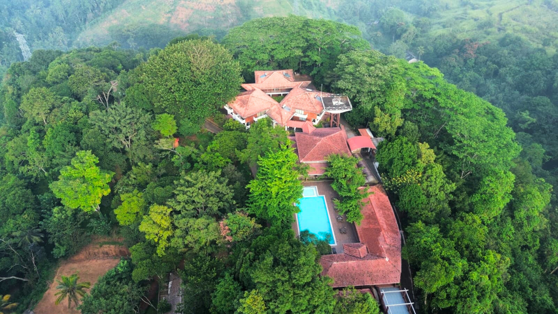 ホテル ツリー オブ ライフ 写真