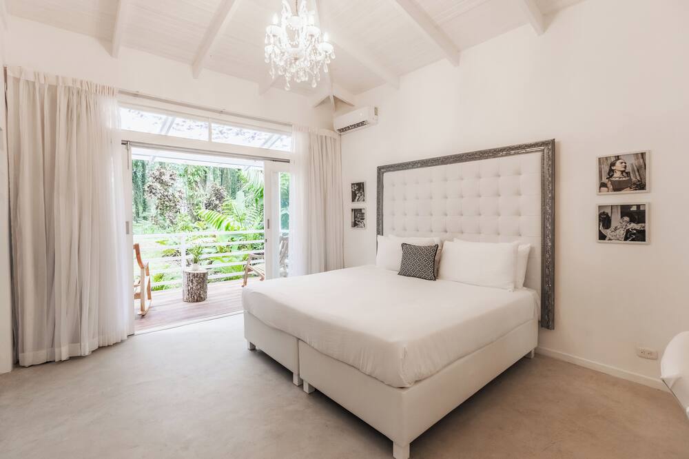 レ カメレオン プエルト ヴィエホ 写真