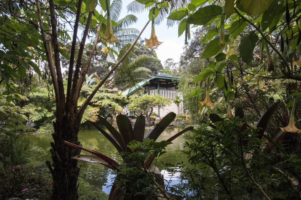 Chalet Kilauea 写真