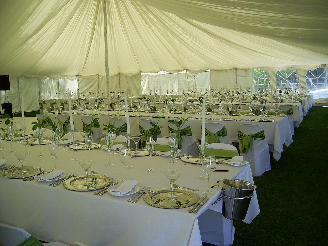 マトッポ イン 写真