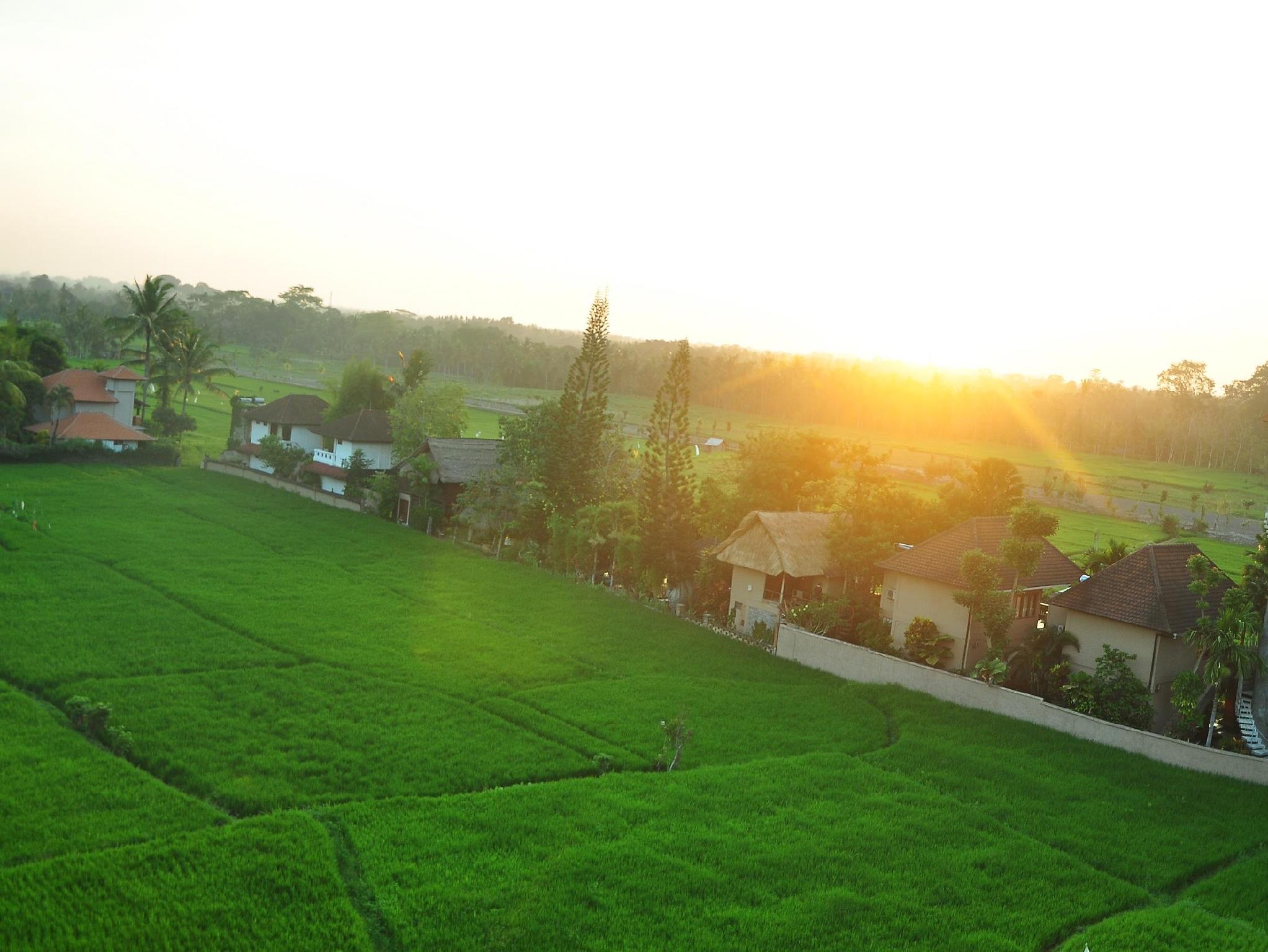 ザ エヴィテル リゾート ウブド 写真