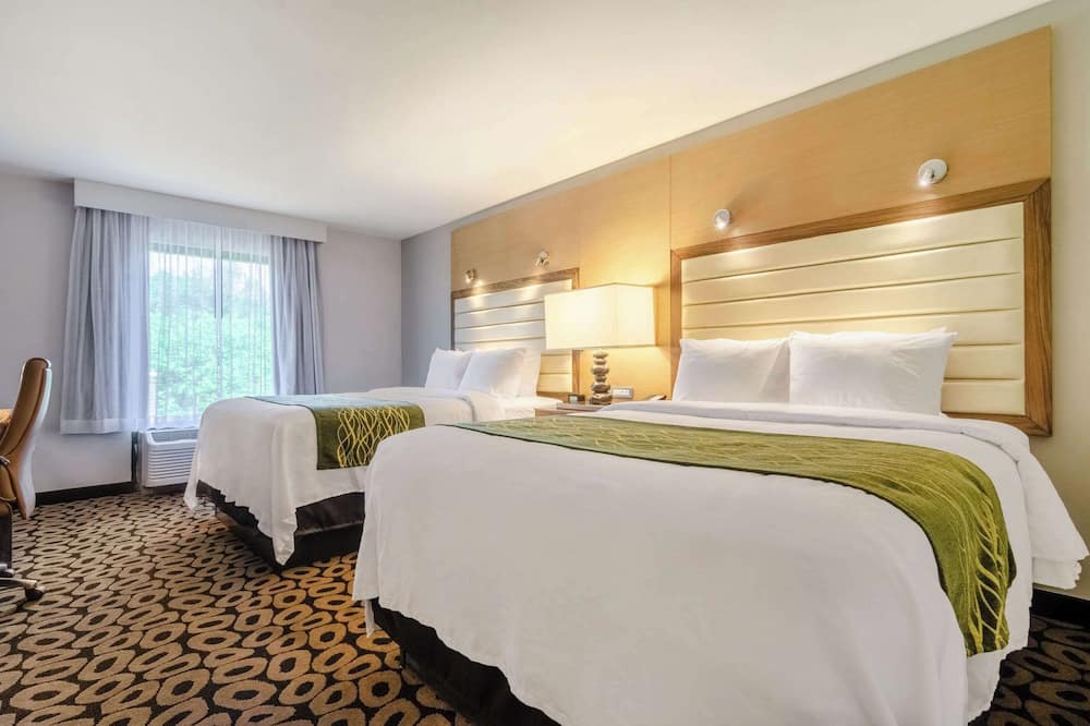 コンフォート イン ローリー ミッドタウン 写真