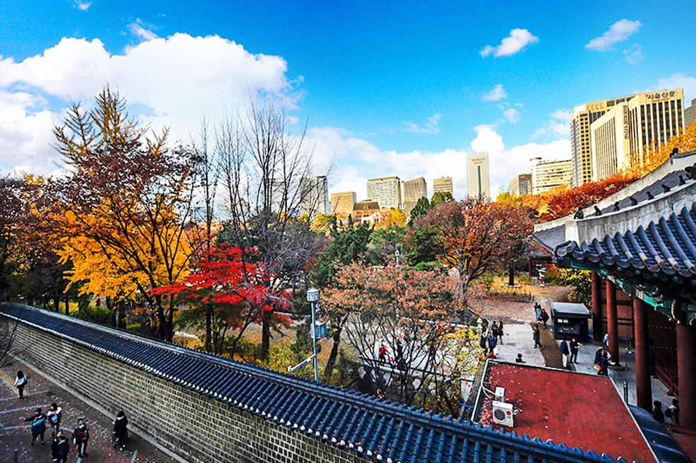 24 ゲストハウス ソウル シティ ホール 写真