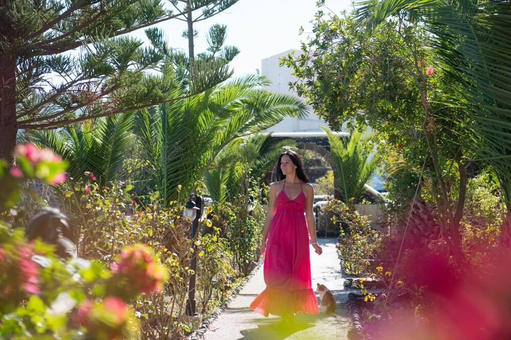 アエリア バイ エルテオン 写真