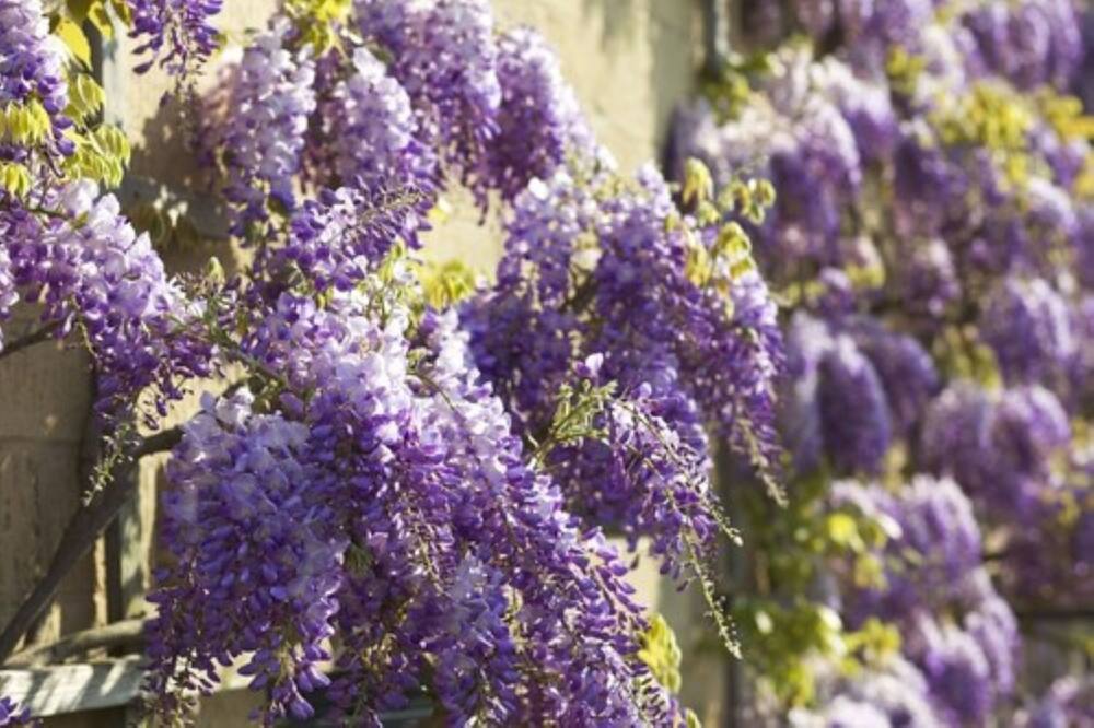 ザ ブロードウェイ ホテル 写真