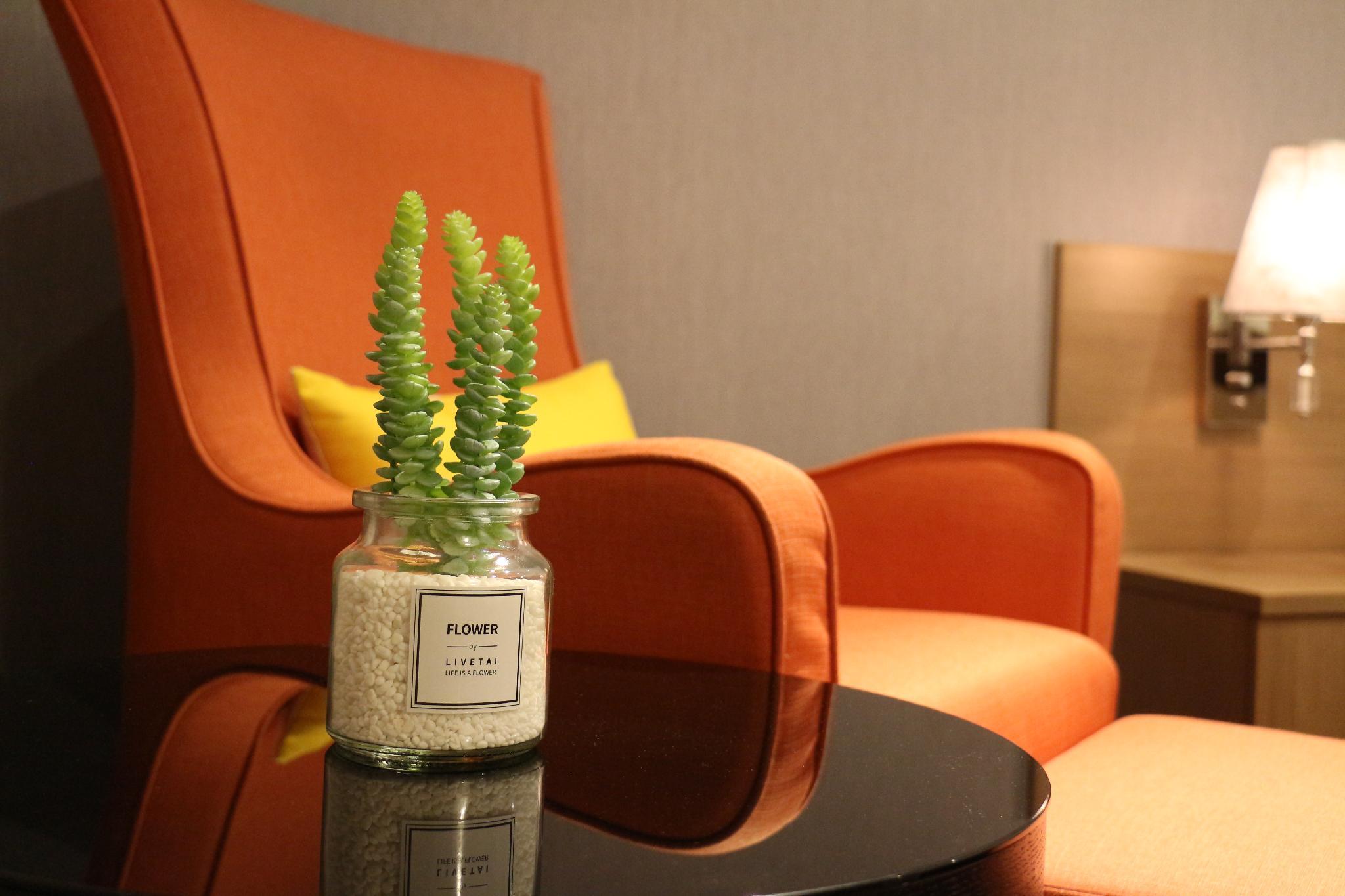 スカイ19 ホテル 写真