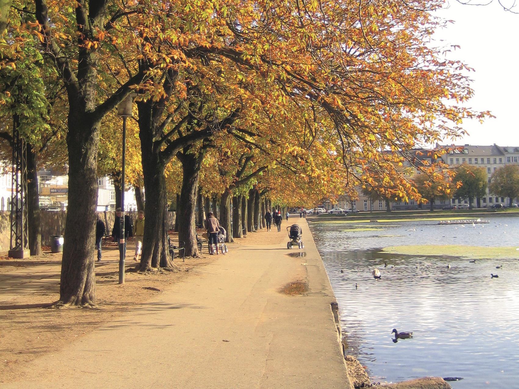 プロフィルホテルズ リッチモンド 写真