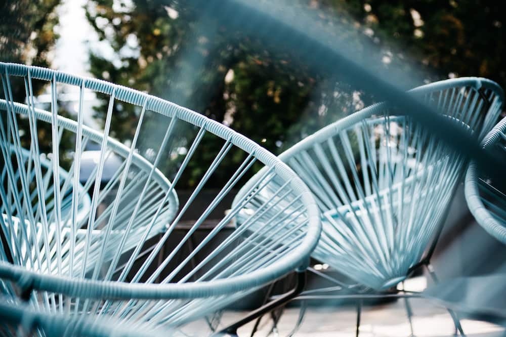 Arthotel Blaue Gans 写真