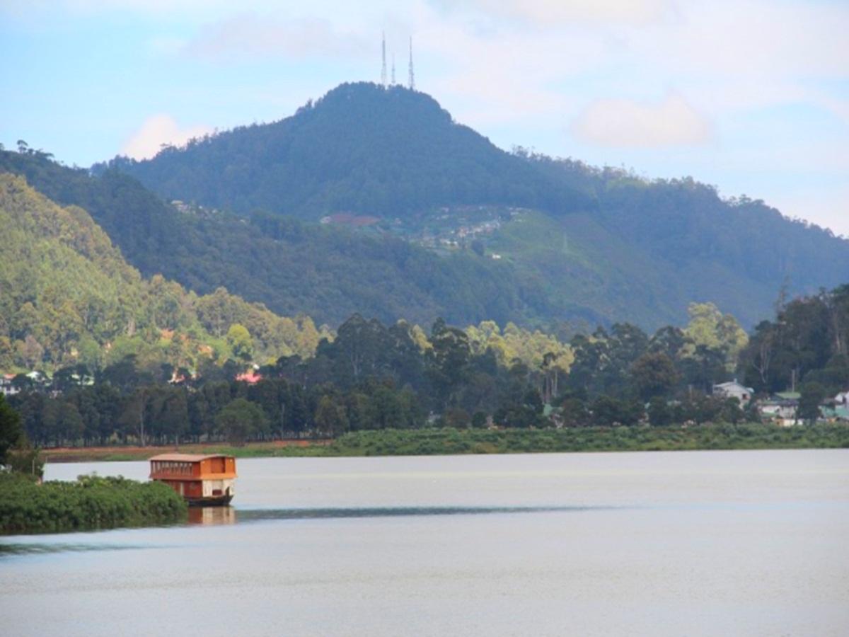 ザ ヒル クラブ 写真