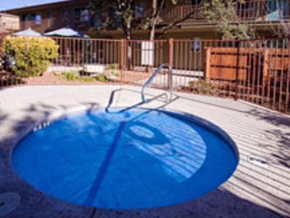 ベイビー クエイル イン 写真