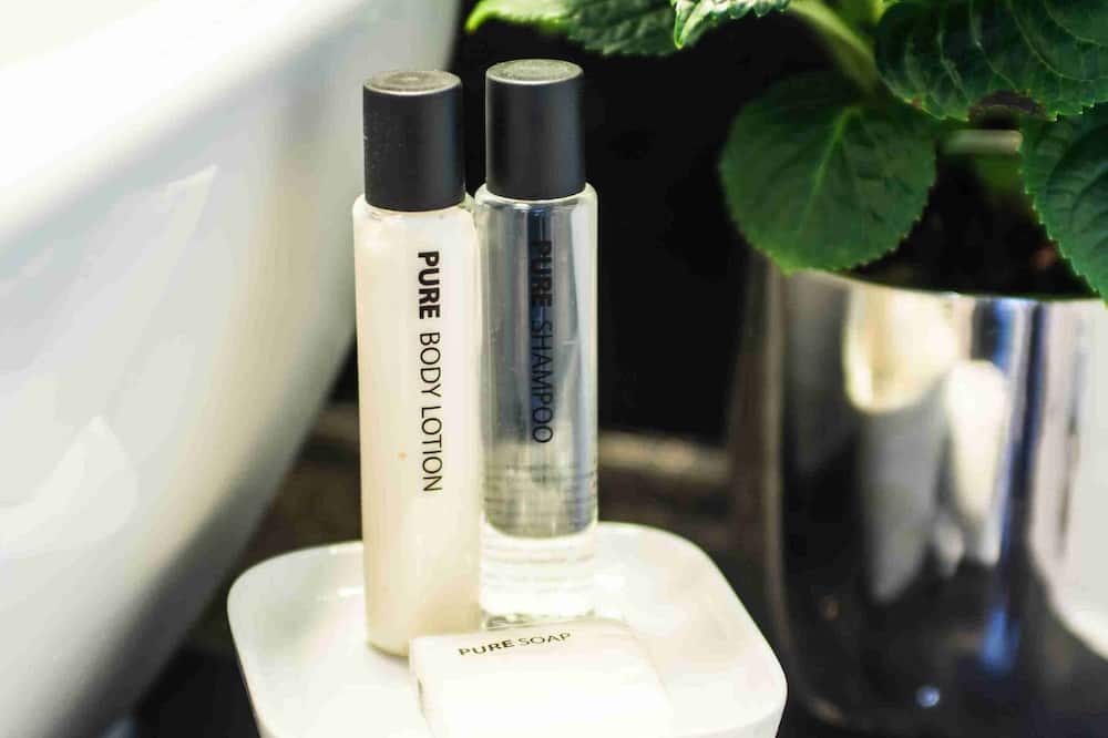 コンコルド 写真