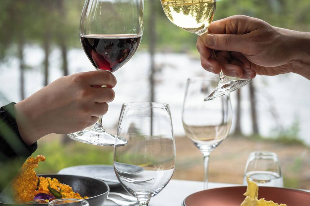 Wilderness Hotel Juutua 写真