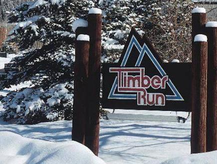 Timber Run by Wyndham Vacation Rentals 写真