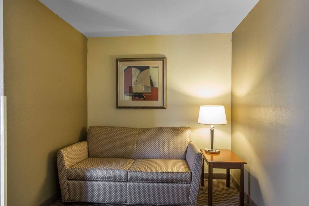 コンフォート イン & スイーツ マディソンビル 写真