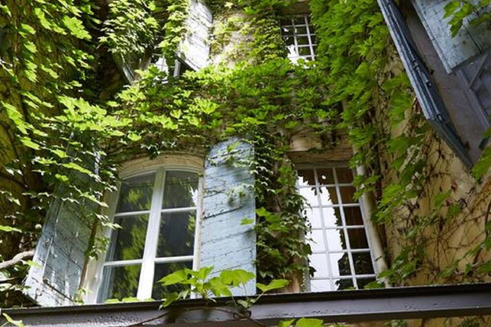 ラ レジデンス アルル センター 写真