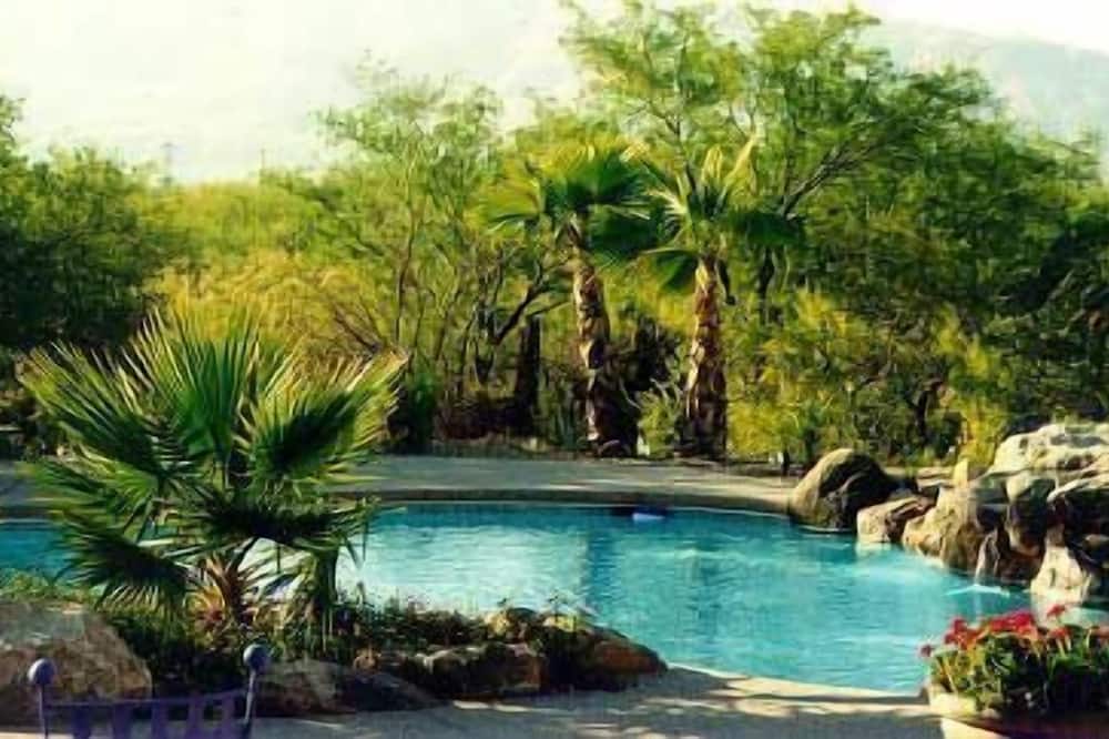 カクタス コーブ 写真