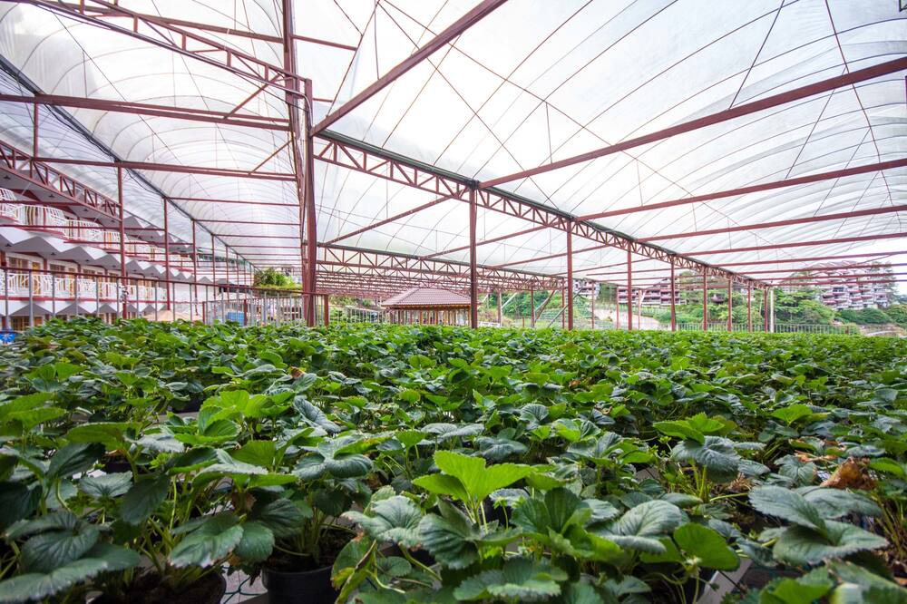 ケア ガーデン ゲストハウス 写真