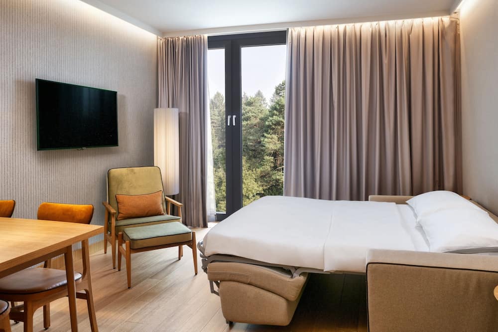 フォー ポインツ バイ シェラトン リュブリャナ モンス 写真