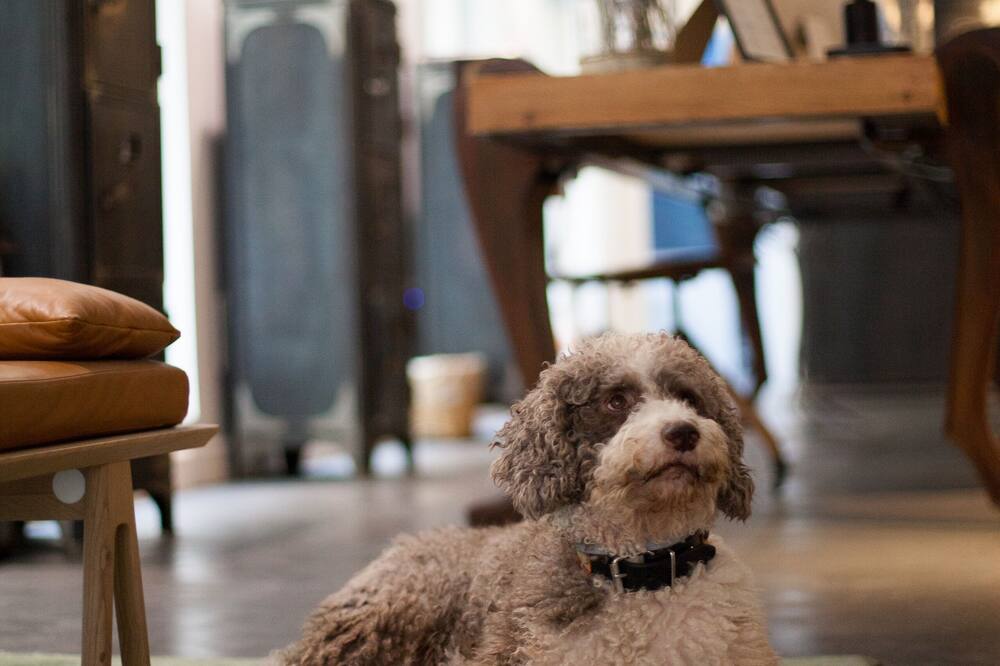 7 イスラス ホテル 写真