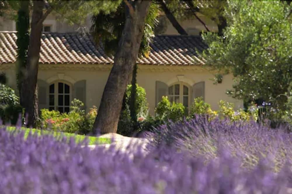 ベンヴェングド 写真