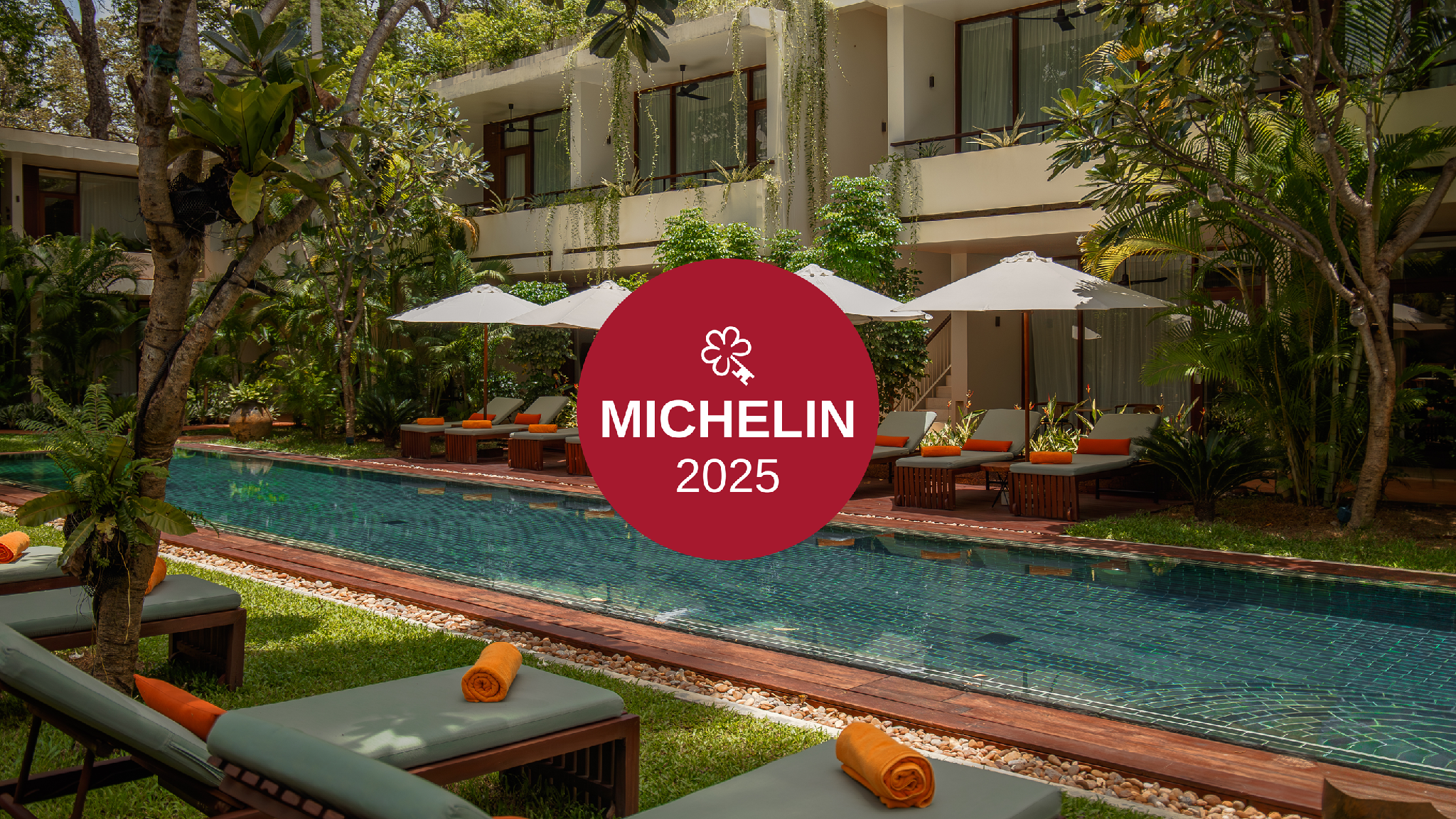 FCC アンコール バイ アヴァ二 写真