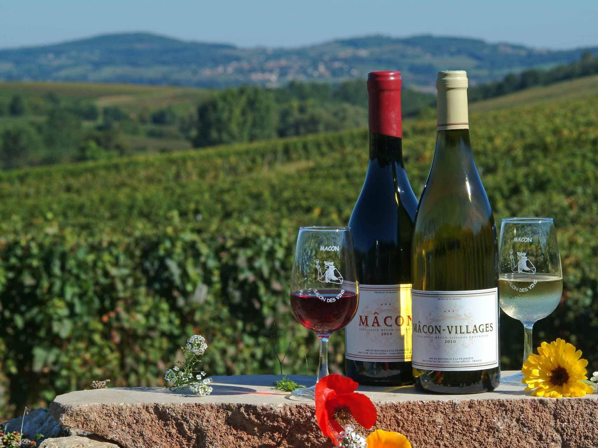 イビス スタイルズ マコン サントル 写真