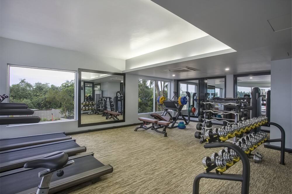 モモ イン 写真