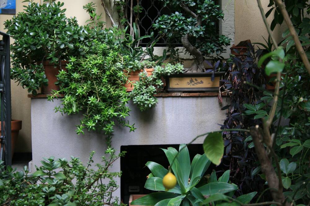 サ バルベーロ チャルメ B & B 写真