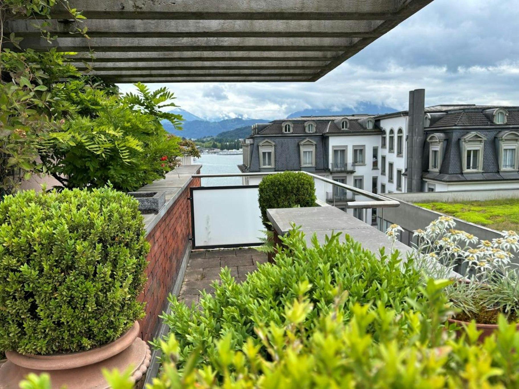 Hotel Luzernerhof 写真