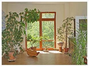 ホテル グリュンヴァルト 写真